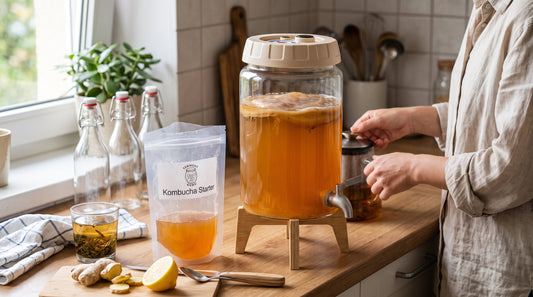 Kombucha-Starterflüssigkeit und SCOBY: Was brauchst du zum Start?