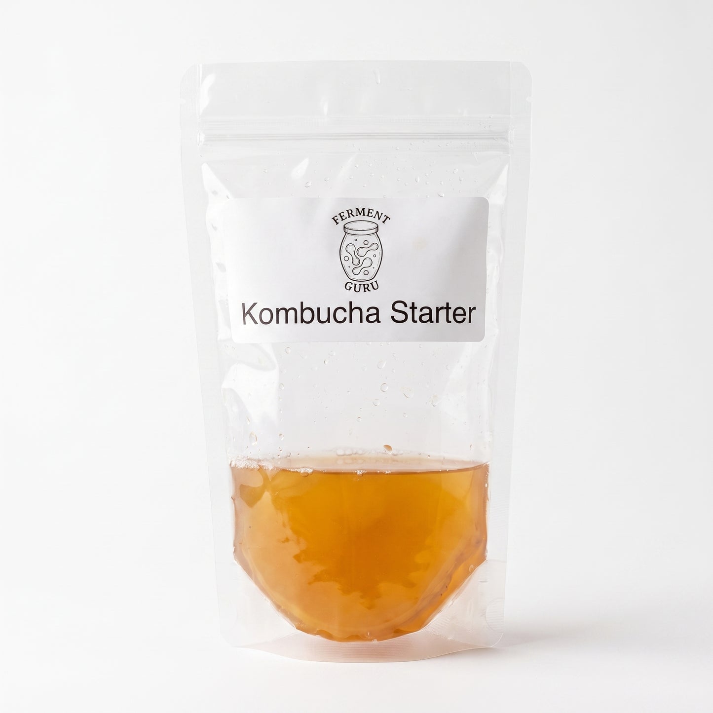 Kombucha Starter